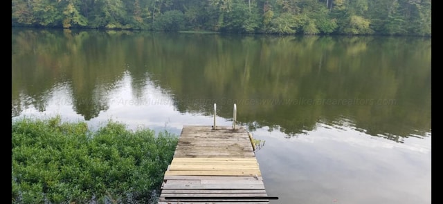 view of dock with a water view