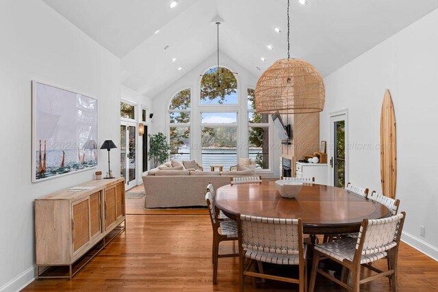 dining room featuring high vaulted ceiling and hardwood / wood-style flooring