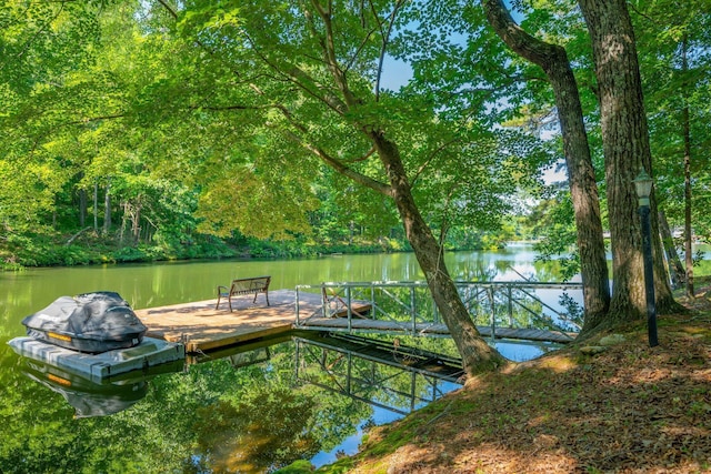 dock area featuring a water view