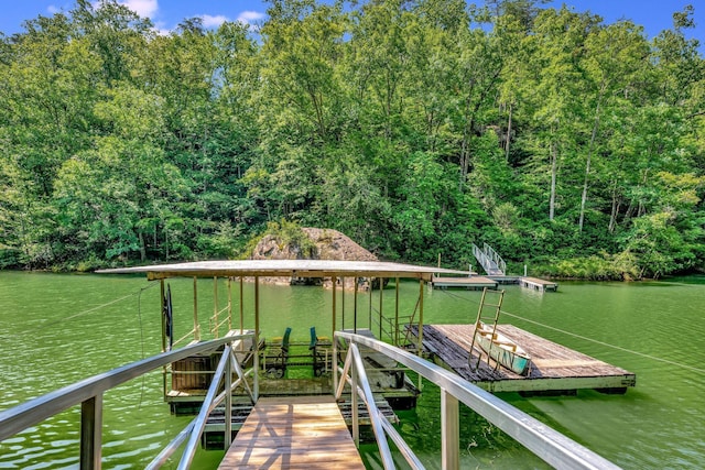 dock area with a water view