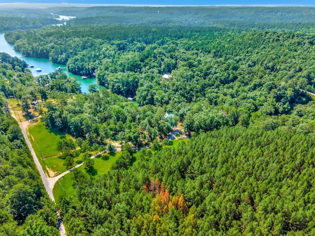 birds eye view of property with a water view and a forest view