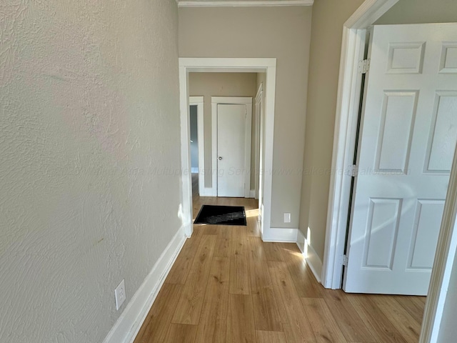 hall featuring light hardwood / wood-style flooring