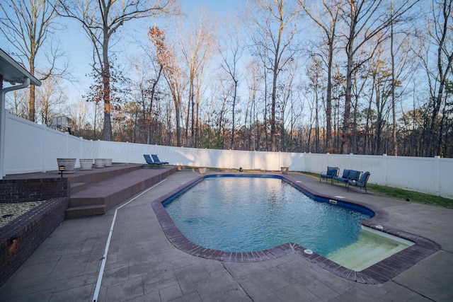 view of pool featuring a patio area