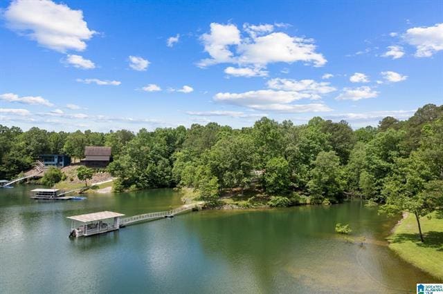 property view of water featuring a boat dock