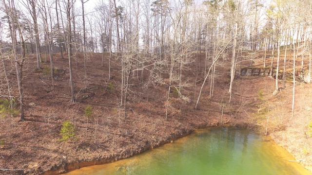 Listing photo 3 for LOT11 Pelican Dr, Arley AL 35540