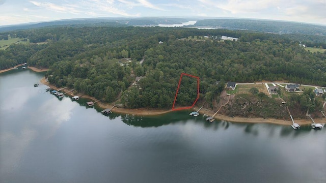 107 County Road 907, Crane Hill AL, 35053 land for sale