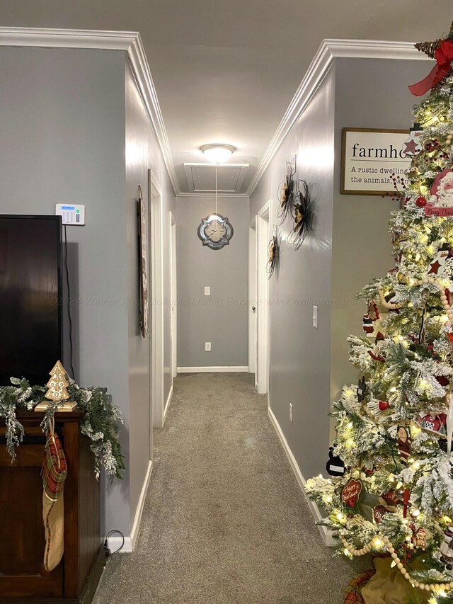 carpeted living room with ornamental molding