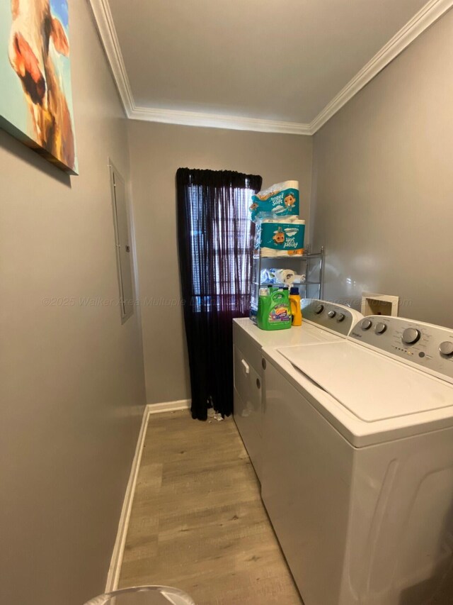 bedroom featuring dark hardwood / wood-style flooring and crown molding