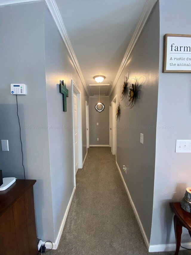 carpeted living room featuring ornamental molding