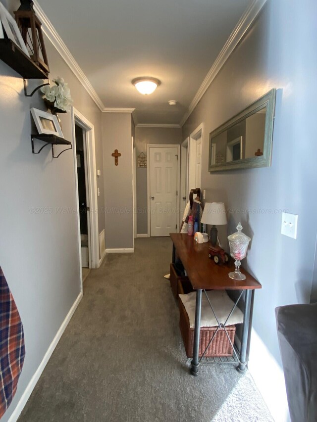 carpeted bedroom with ornamental molding