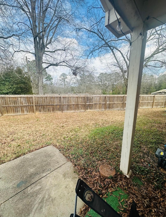 view of yard featuring a fenced backyard and a patio