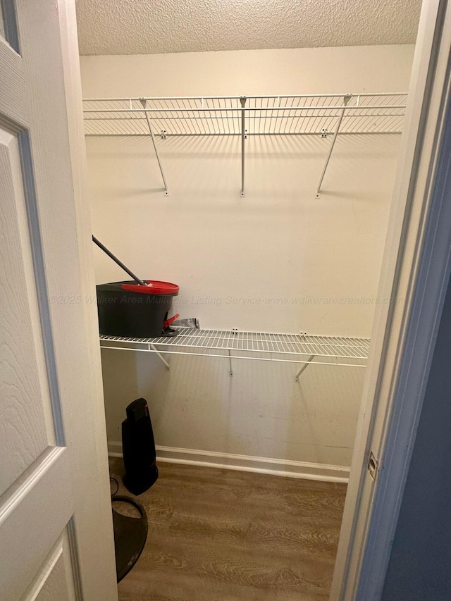 spacious closet featuring dark wood-type flooring