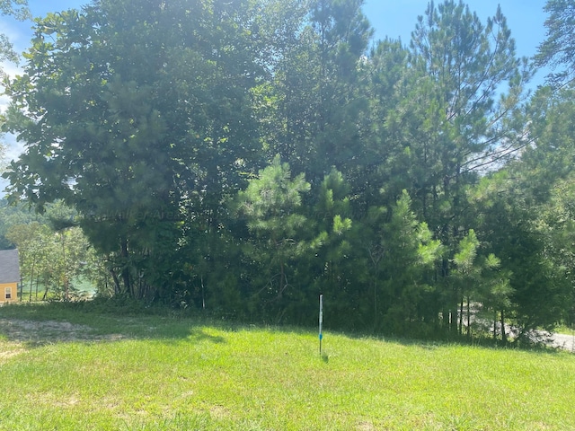 Listing photo 2 for LOT12 Arley Lndg, Arley AL 35541