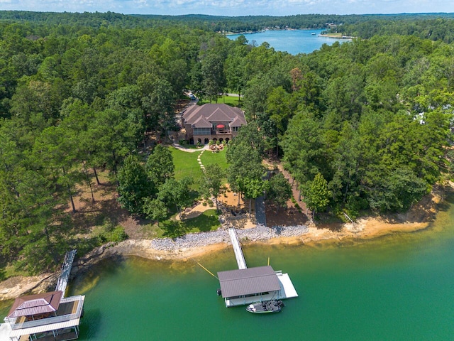 bird's eye view with a view of trees and a water view