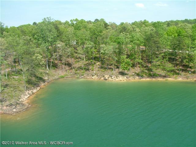 LOT54 Flamingo, Arley AL, 35541 land for sale