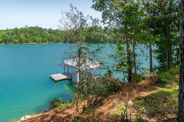 view of dock with a water view