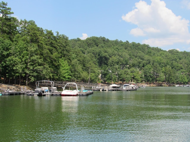 view of water feature with a boat dock