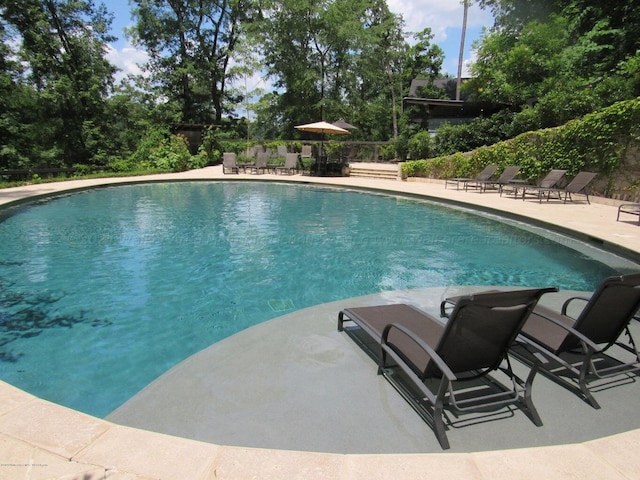 view of swimming pool with a patio area