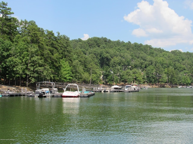 view of water feature featuring a boat dock