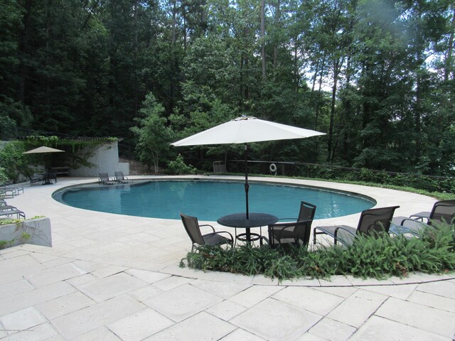 view of pool featuring a patio area