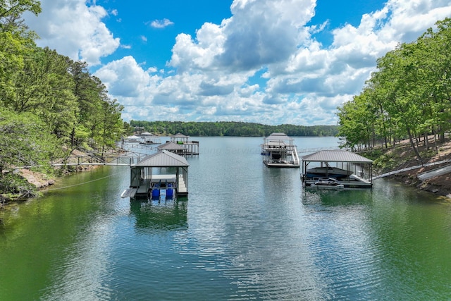 dock area featuring a water view