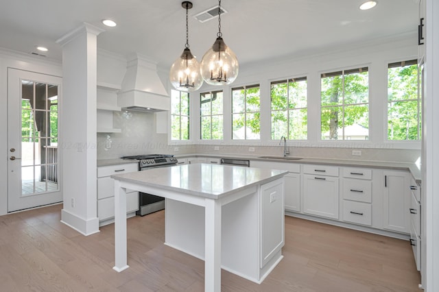 kitchen with sink, a center island, premium range hood, light hardwood / wood-style floors, and appliances with stainless steel finishes