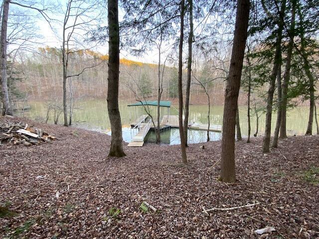 Listing photo 2 for LOT14 Legends Ln, Arley AL 35541