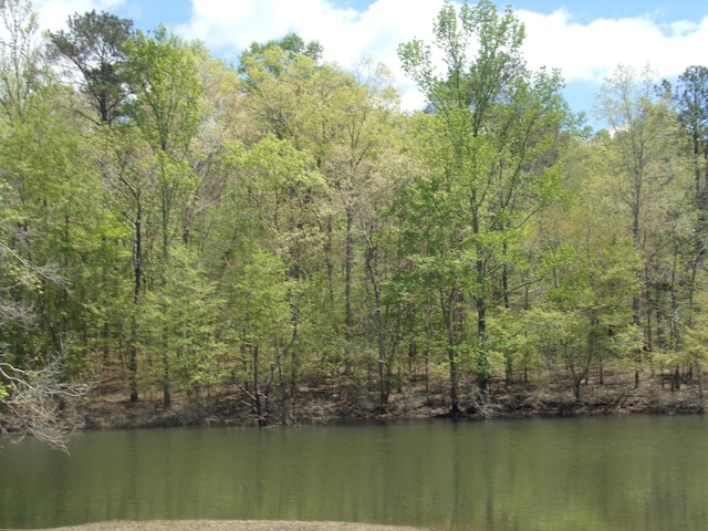 LOTS2 W Pointe Dr, Arley AL, 35541 land for sale