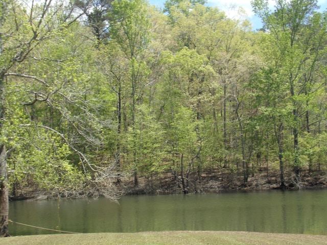 Listing photo 3 for LOTS2 W Pointe Dr, Arley AL 35541