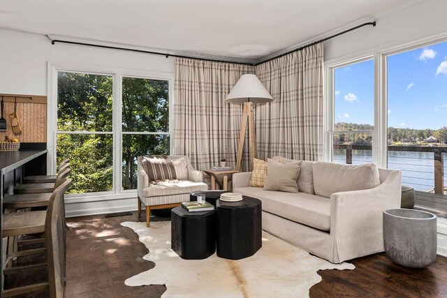 living room with a water view and dark wood-type flooring