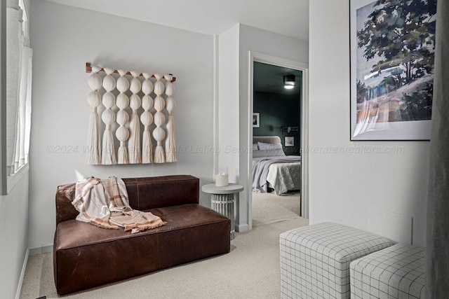 living area featuring light colored carpet