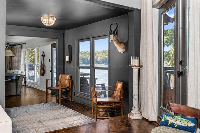 entrance foyer featuring a water view, dark hardwood / wood-style flooring, and a wealth of natural light