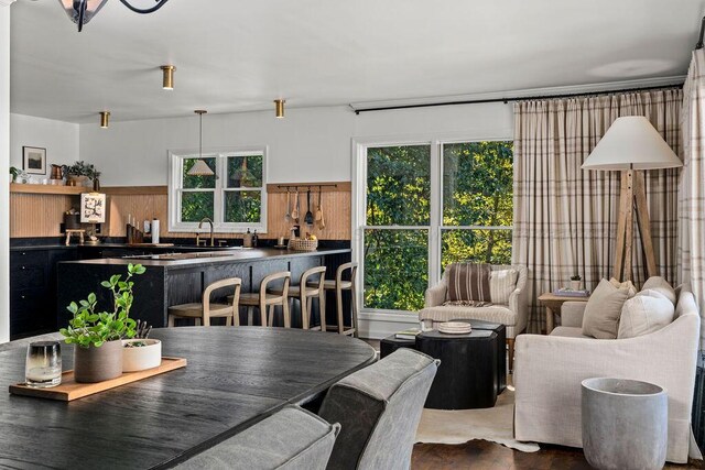 dining area with wood-type flooring, a healthy amount of sunlight, and sink