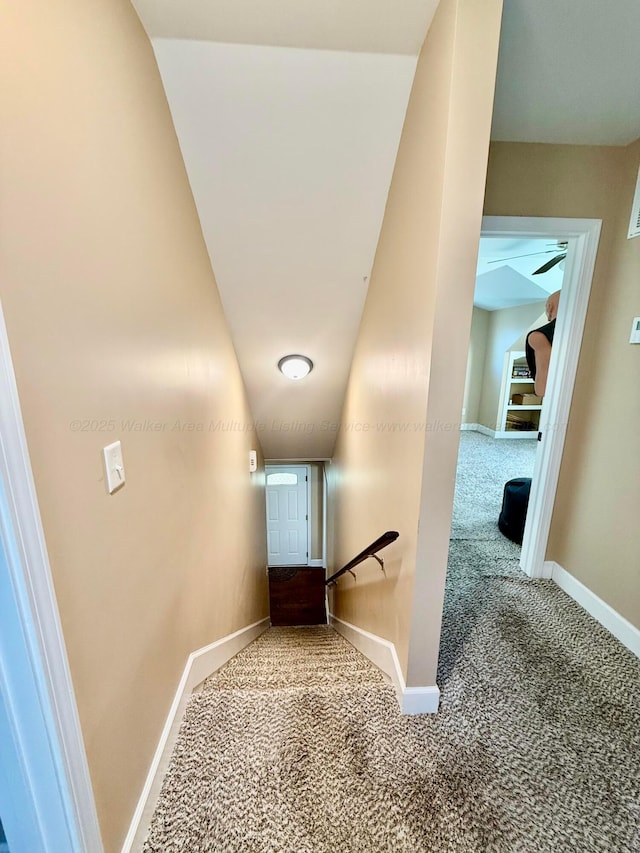 stairs featuring baseboards and carpet flooring