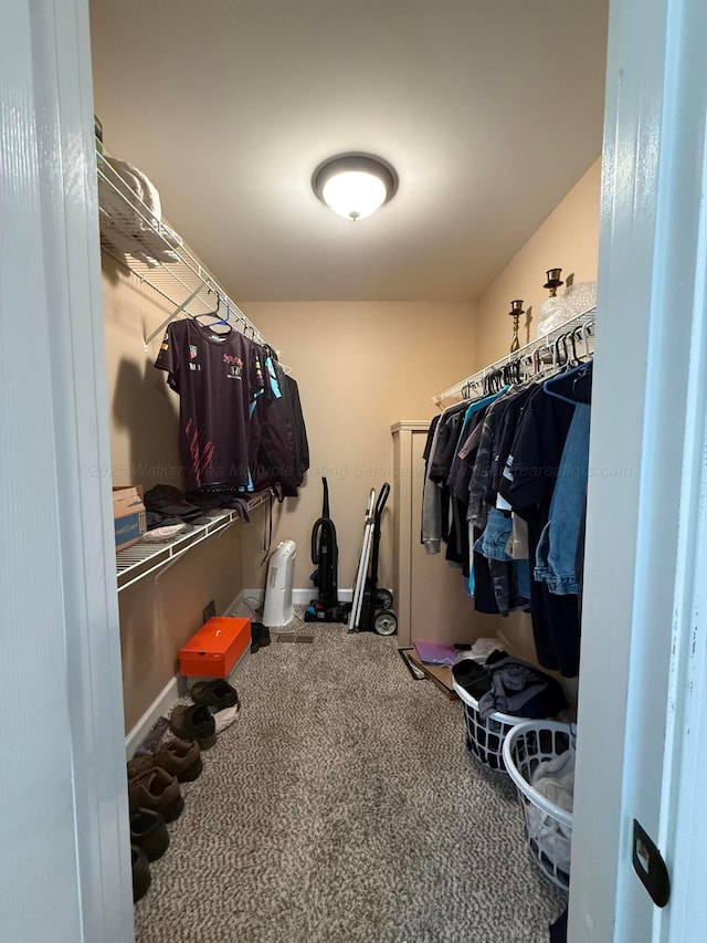 spacious closet featuring carpet