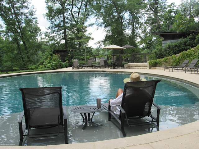 view of swimming pool with a patio area