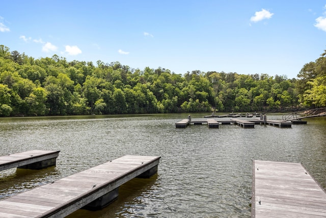 view of dock featuring a water view