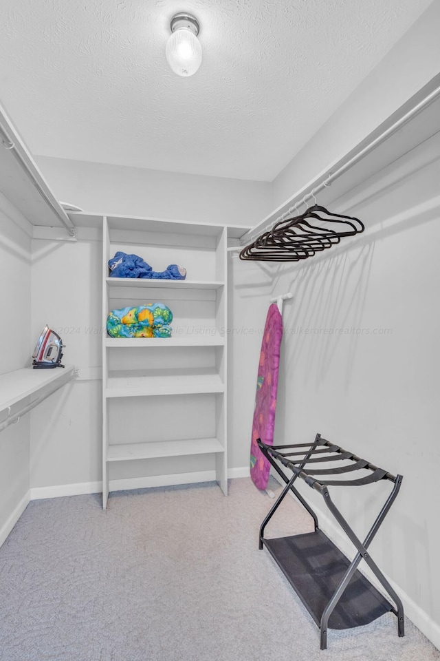 spacious closet with carpet floors