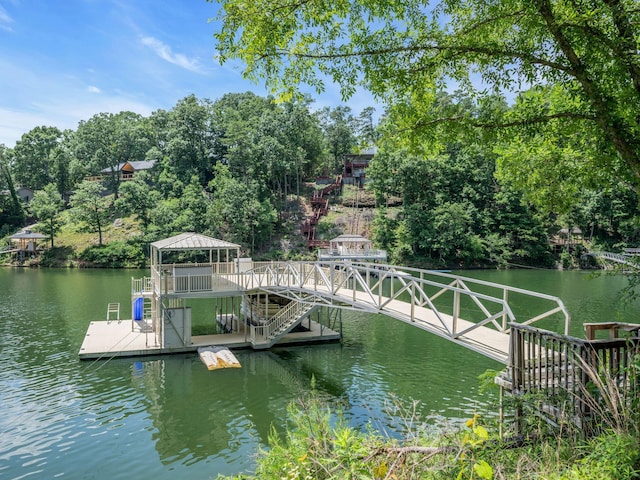 dock area with a water view