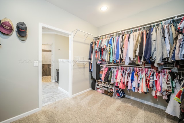 spacious closet with carpet