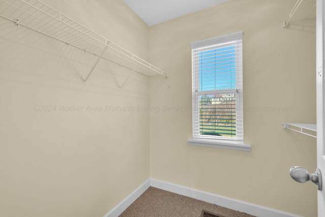 spacious closet featuring carpet floors