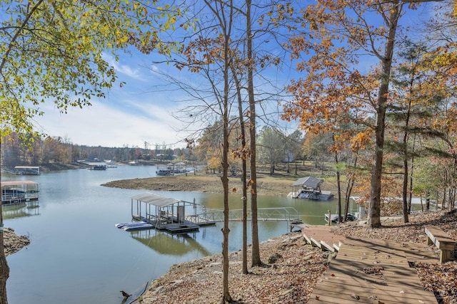 dock area with a water view