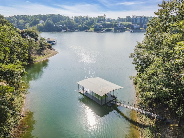 dock area with a water view