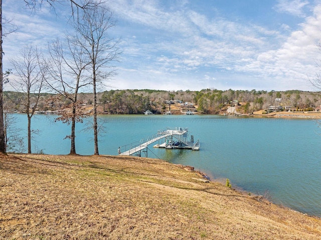 dock area with a water view