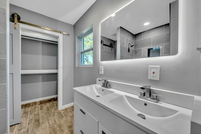 bathroom featuring hardwood / wood-style floors and vanity