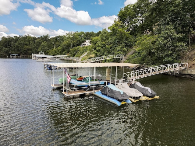 dock area with a water view