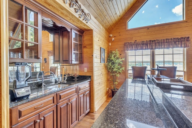 kitchen featuring sink, a healthy amount of sunlight, and wood walls