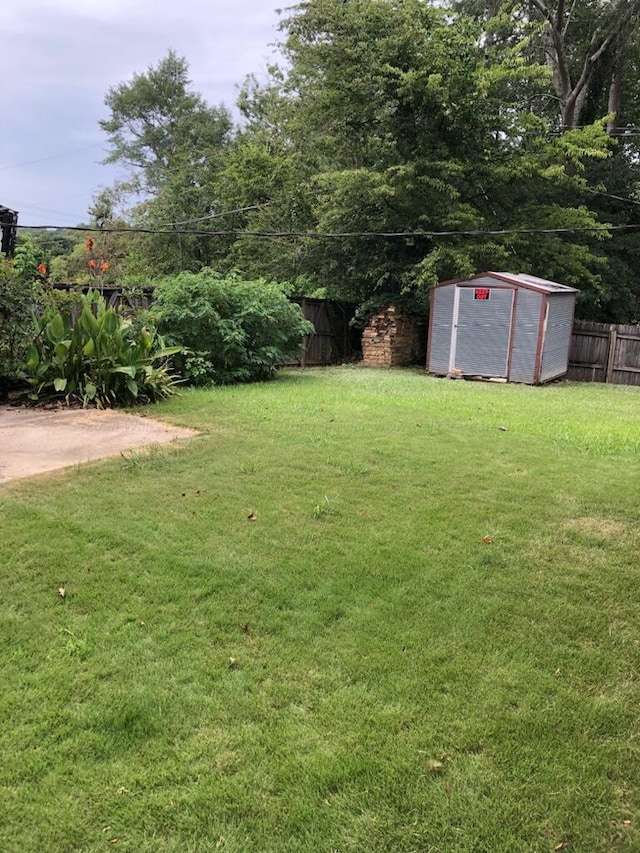 view of yard with a shed