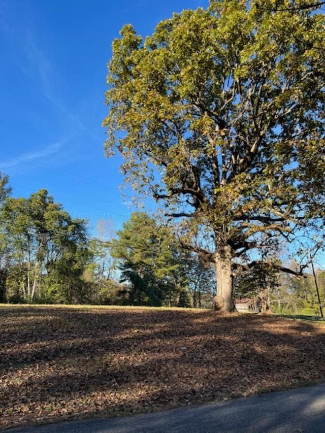 710 Iron Mountain Rd, Carbon Hill AL, 35549 land for sale