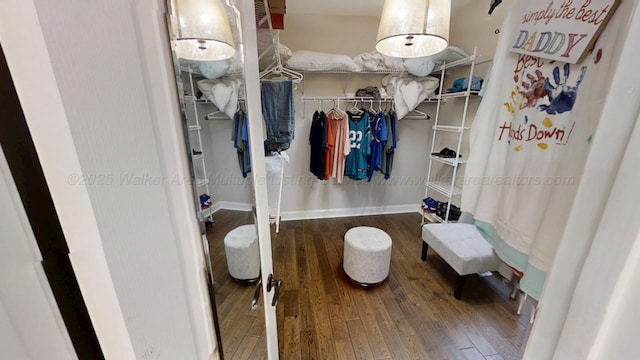 walk in closet featuring dark wood-type flooring